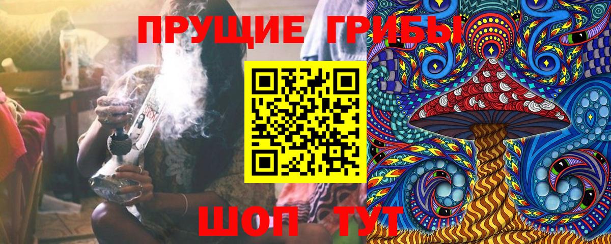 Псилоцибиновые грибы Psilocybe Анжеро-Судженск