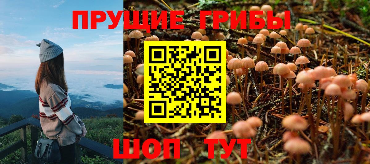 Анжеро-Судженск  Галлюциногенные грибы Psilocybe  Псилоцибиновые грибы GOLDEN TEACHER  Вход с VPN 